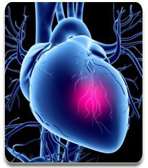 Periodontal Disease & Heart disease - Preston Dentists