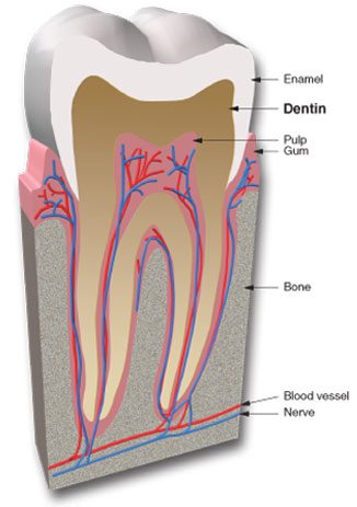 Teeth Wear Result