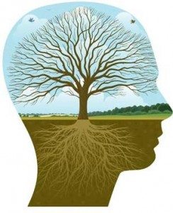 holistic dentistry holistic dental care - dentists in preston