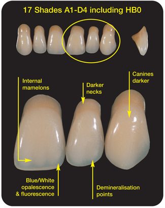 dentures natural denture cosmetic enigma teeth looking effect dentistry through