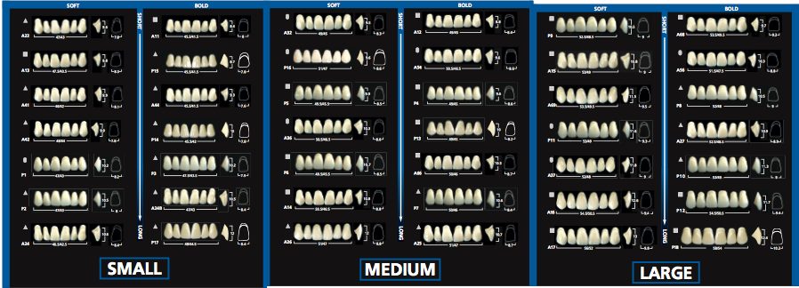 Different denture types