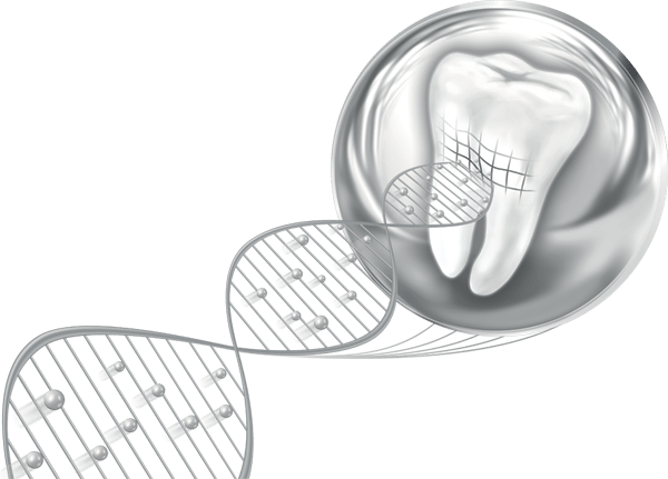 The health risks of gum disease